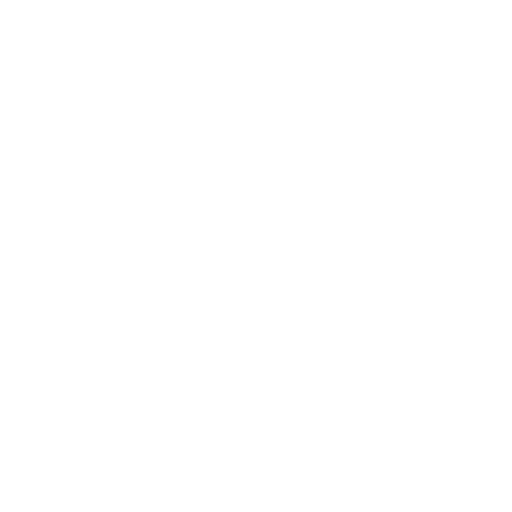 Skyway icon