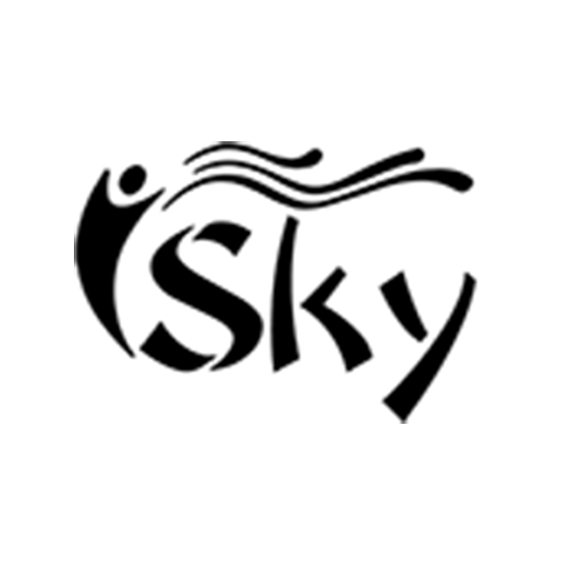 Skyway Digital logo